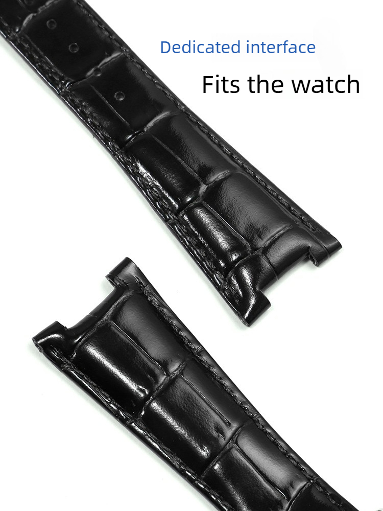 Correa de reloj de cuero para  - Omega Watch Constellation reseña y precio